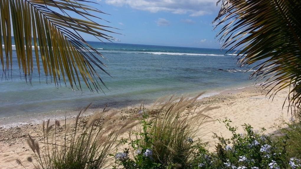 L’île Maurice  et son concept « louer vacances »