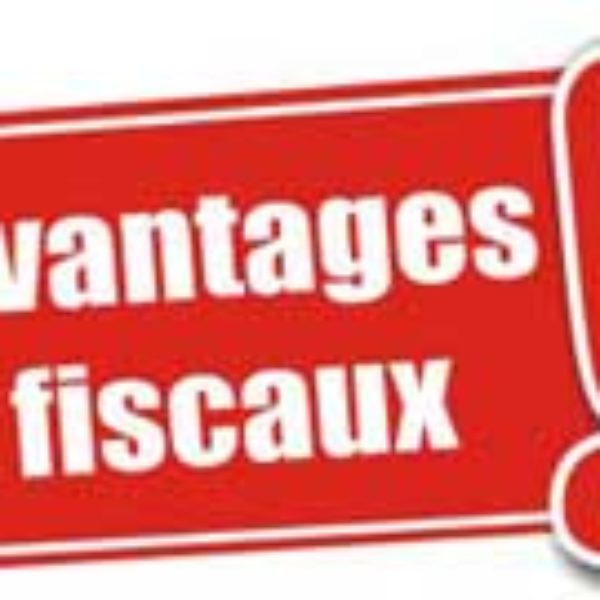 Quels sont les avantages fiscaux dans le cas d’un investissement immobilier en île Maurice ?