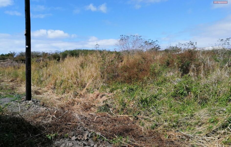 Terrain de 2500 m2, Pereybère Terrain de 2500 m2, Pereybère