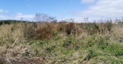 Terrain de 2500 m2, Pereybère