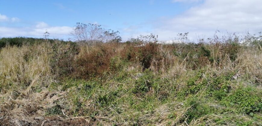 Terrain de 2500 m2, Pereybère