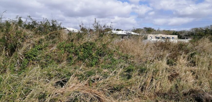 Terrain de 2500 m2, Pereybère