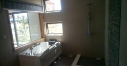 Deux magnifiques appartements, Bain Boeuf