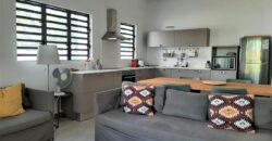 Grand et confortable appartement F4, Rivière Noire