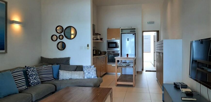 Appartement de conception moderne type F4, Rivière Noire