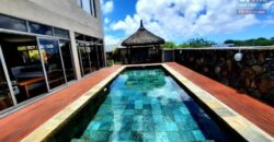 Sublime villa de 250 m2 avec une belle piscine en ardoise, Chemin 20 pieds