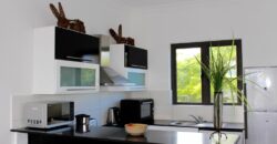 Lumineux penthouse + studio indépendant accessible aux étrangers avec vue sur un domaine privé, Flic en Flac
