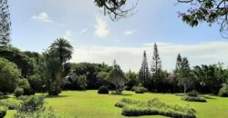 Spacieux appartement de 190 m2, Floréal