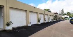 Spacieux appartement de 190 m2, Floréal