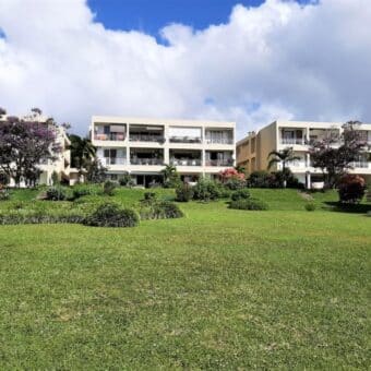Spacieux appartement de 190 m2, Floréal