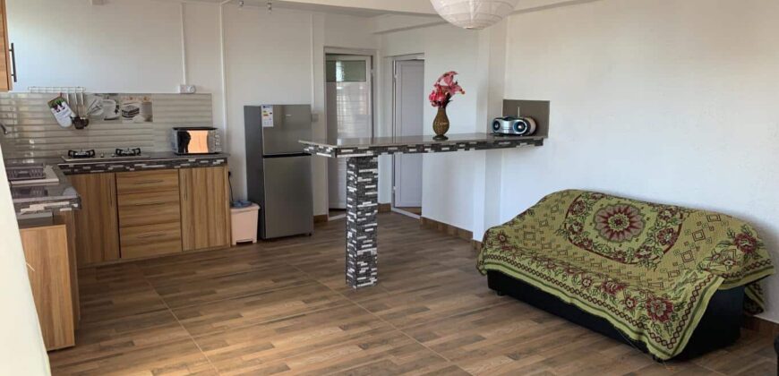 Récent appartement T3 proche de toutes commodités , Flic en Flac