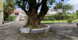 Agréable appartement dans une petite copropriété au calme, Curepipe