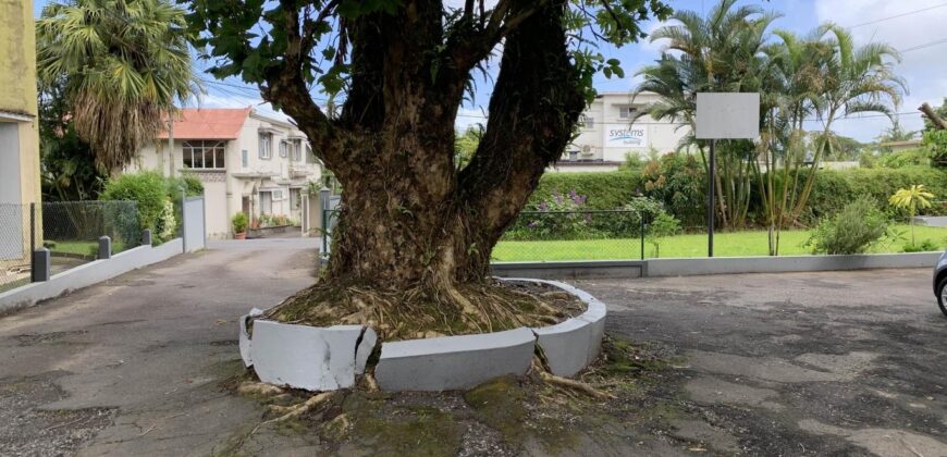 Agréable appartement dans une petite copropriété au calme, Curepipe