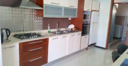 Agréable appartement entièrement meublé, Flic en Flac