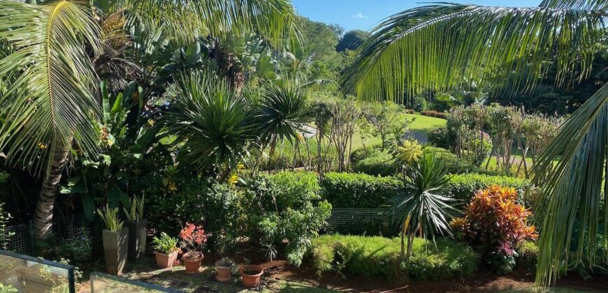 Très bel appartement avec de beaux volumes à Roches Noires