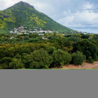 Tamarin à vendre terrain viabilisé à partir 780m2 accessible aux étrangers.