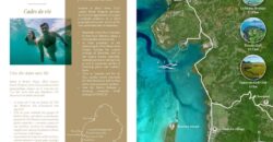 Luxe en bord de mer : Découvrez nos magnifiques appartements sur l’île privée de Fortier à Tamarin