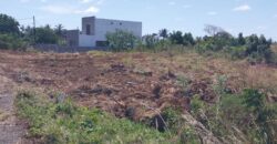 Un terrain à vendre de 22 perches à Grand-gaube