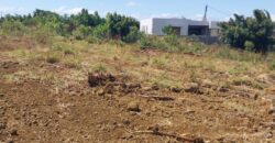 Un terrain à vendre de 22 perches à Grand-gaube