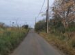 Deux lots de terrains à vendre à Mont Mascal