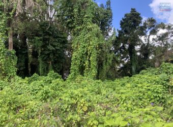 Terrain de 2508 m2 situé proche des commerces, Curepipe