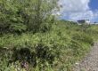 A vendre un terrain constructible d’environ 422m2 dans le secteur prisé de Cap Malheureux
