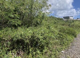 A vendre un terrain constructible d’environ 422m2 dans le secteur prisé de Cap Malheureux