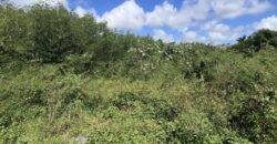 A vendre un vaste terrain constructible de 1079m2 situé dans un quartier résidentiel à Cap Malheureux