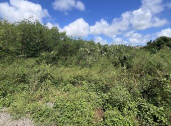 A vendre un vaste terrain constructible de 1079m2 situé dans un quartier résidentiel à Cap Malheureux