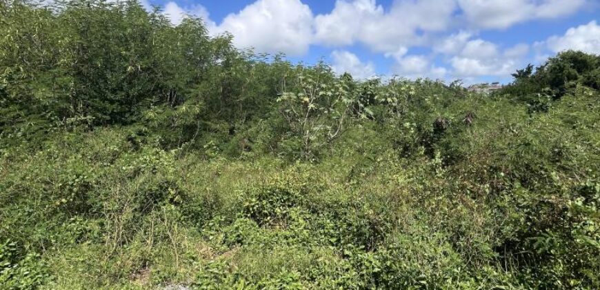 A vendre un vaste terrain constructible de 1079m2 situé dans un quartier résidentiel à Cap Malheureux