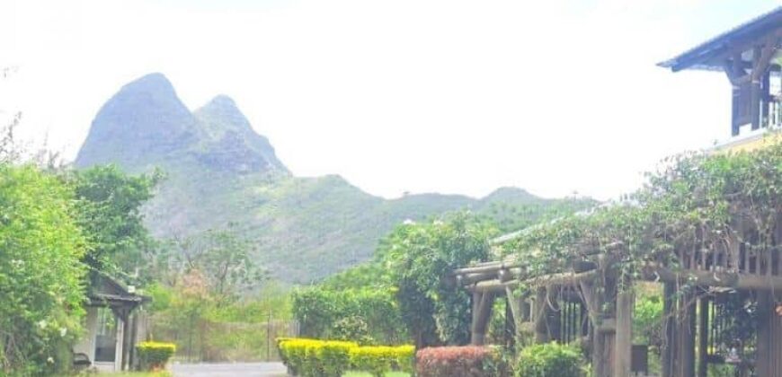 A vendre un fonds de commerce accompagné d’un ensemble immobilier de qualité situé à Coromandel.