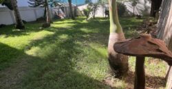 Villa d’exception meublée de 300 m² à louer au cœur d’un jardin luxuriant à Pereybère