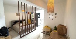 Location d’un studio moderne récemment construit dans une résidence sécurisée à Flic en Flac