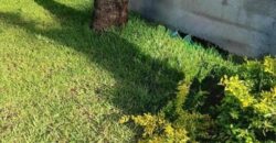 En vente villa de plain-pied à Calodyne – un cadre paisible et modulable selon vos envies