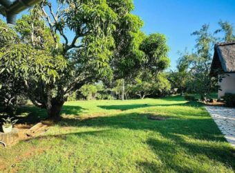 Location d’une magnifique villa familiale avec jardin et piscine à deux pas des plages de Grand Baie.