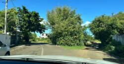 A vendre un terrain de 10 perches situé dans un environnement calme verdoyant et entouré de nature à Péreybère