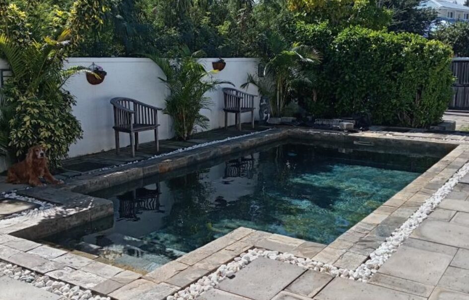 Location d’une ravissante villa meublée avec piscine à deux mins à pied de la plage à Bain Boeuf