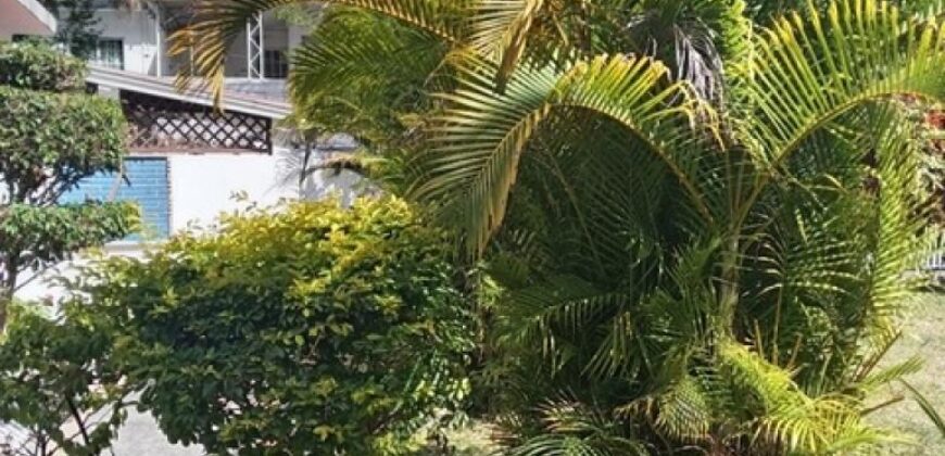 À louer un studio de charme à deux pas de la plage de Péreybère, un petit coin de paradis ! À louer un studio de charme à deux pas de la plage de Péreybère, un petit coin de paradis !