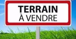 Terrain de 5 213 m² (1 372 toises) à vendre à Rivière Noire – Parfait pour projets résidentiels Terrain de 5 213 m² (1 372 toises) à vendre à Rivière Noire – Parfait pour projets résidentiels