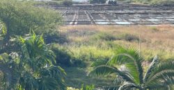 En vente une villa d’exception de 490 m² sur un terrain de 1 127 m² dans un cadre naturel privilégié à Tamarin