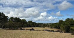 À vendre : Vaste terrain de 2 087 m² au cœur du domaine sécurisé de Daruty