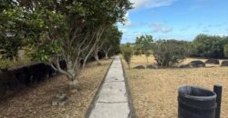 À vendre : Vaste terrain de 2 087 m² au cœur du domaine sécurisé de Daruty