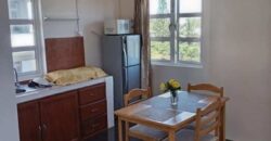 À vendre : Deux appartements au sein d’un petit immeuble résidentiel à Grand Gaube