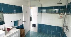 À vendre une belle villa familiale de 325 m² sur 361 m² de terrain avec piscine et garage à Roches Brunes