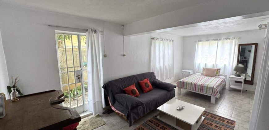 À vendre une belle villa familiale de 325 m² sur 361 m² de terrain avec piscine et garage à Roches Brunes