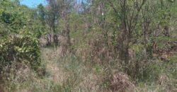 À vendre un grand terrain résidentiel de 2600m2 situé dans un cadre paisible à Calodyne