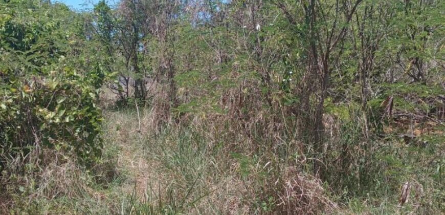 À vendre un grand terrain résidentiel de 2600m2 situé dans un cadre paisible à Calodyne