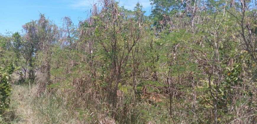 À vendre un grand terrain résidentiel de 2600m2 situé dans un cadre paisible à Calodyne