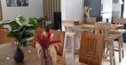 À louer une villa neuve et moderne à Calodyne dans un quartier résidentiel calme