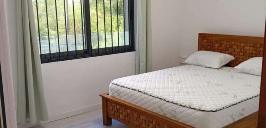 À vendre une magnifique villa neuve avec piscine sans vis-à-vis nichée dans un cadre paisible à Calodyne